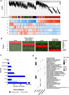 Transcriptome Dynamics of Human Neuronal Differentiation From iPSC